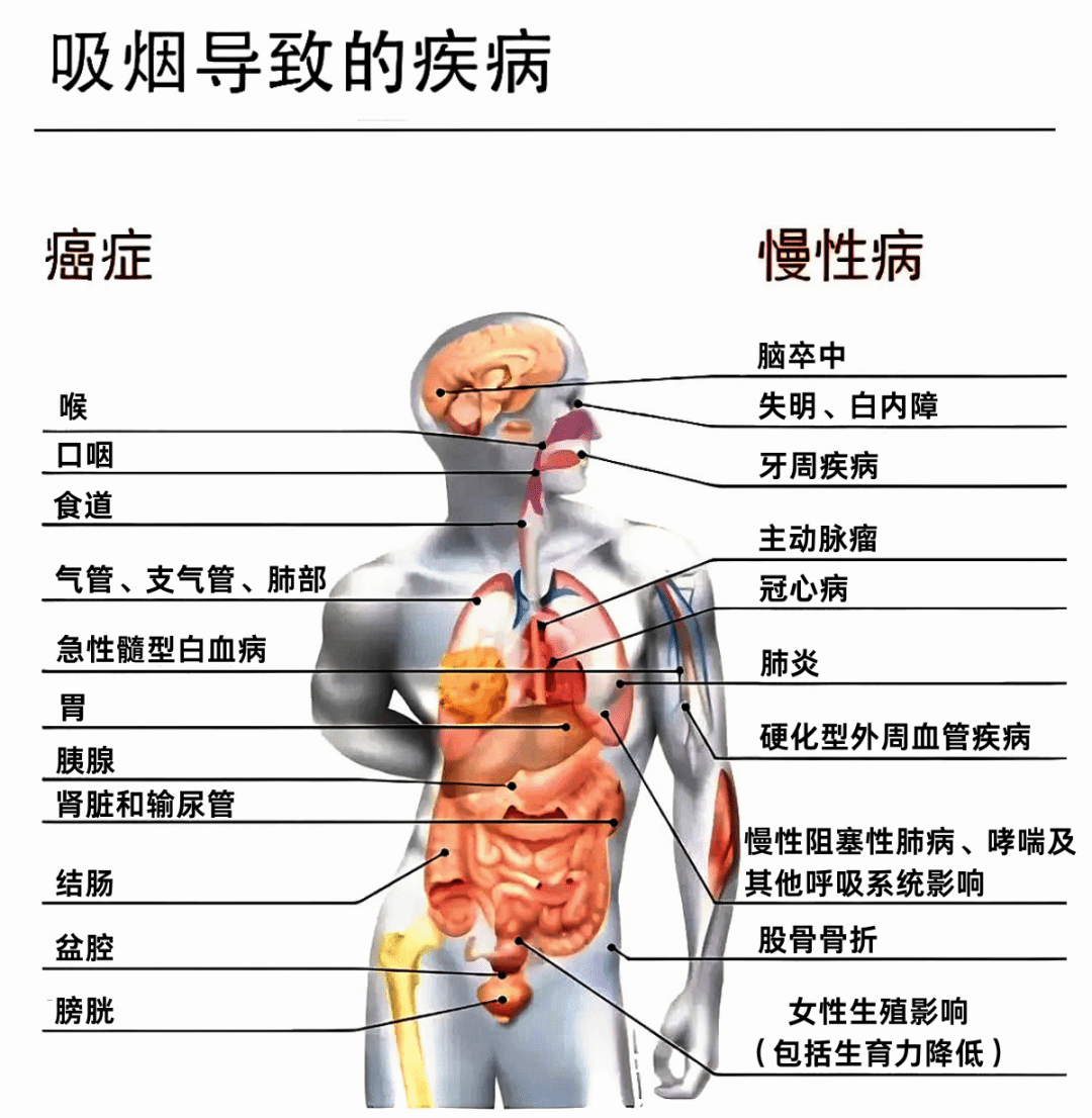 黄色小说网站大全