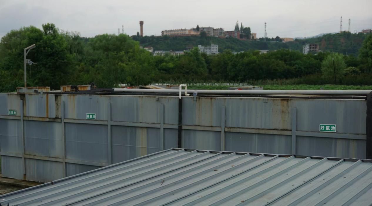 黄色小说网站大全