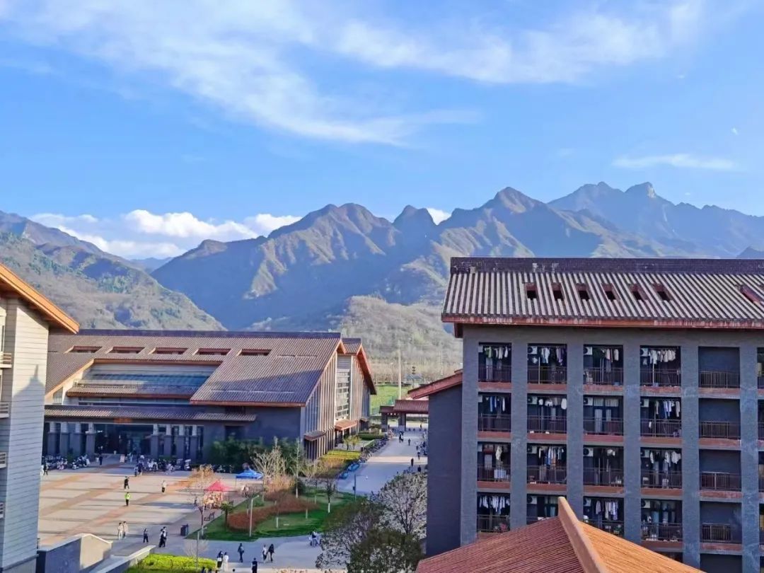 黄色小说网站大全