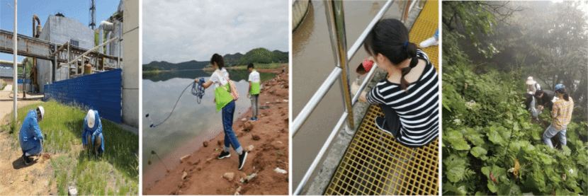 黄色小说网站大全