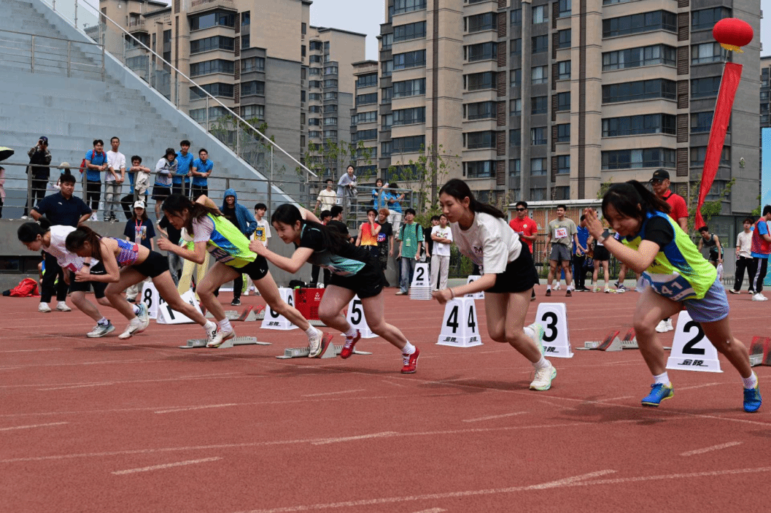 黄色小说网站大全