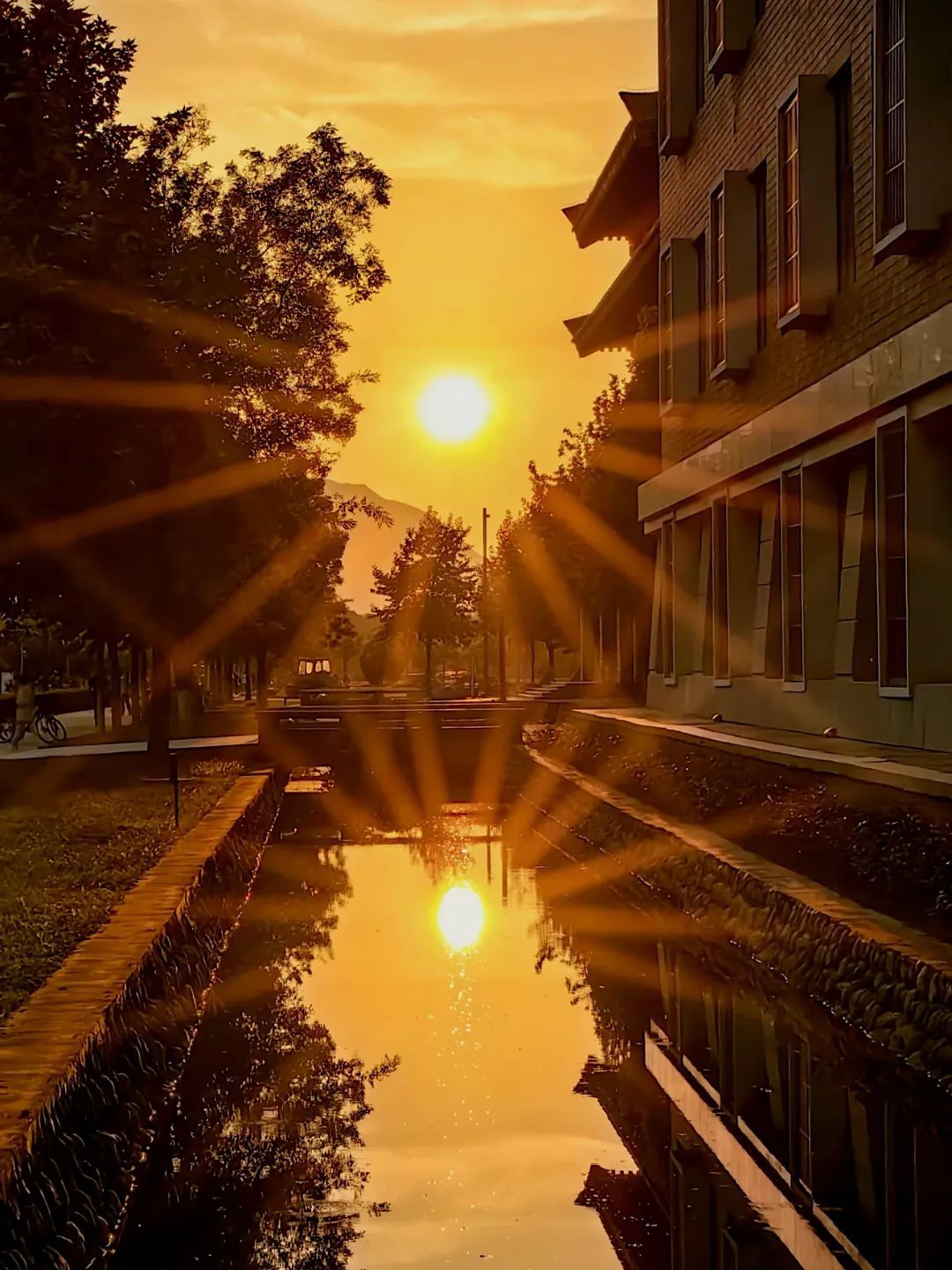 黄色小说网站大全