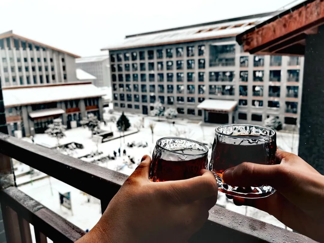 黄色小说网站大全