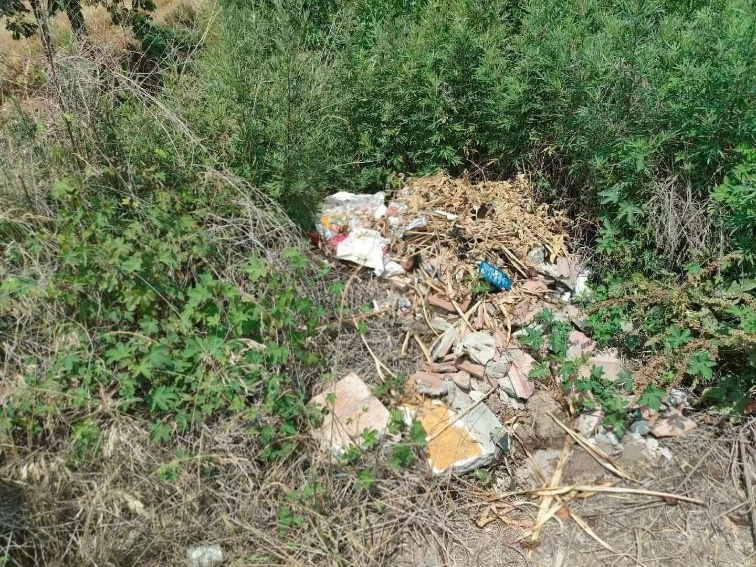 黄色小说网站大全