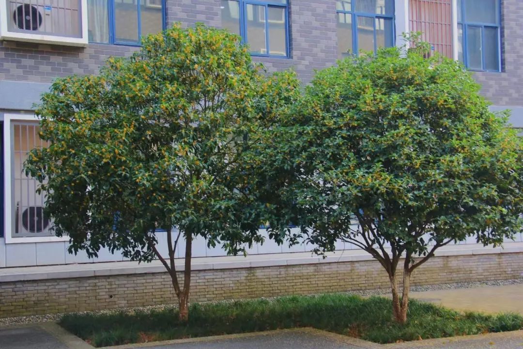 黄色小说网站大全