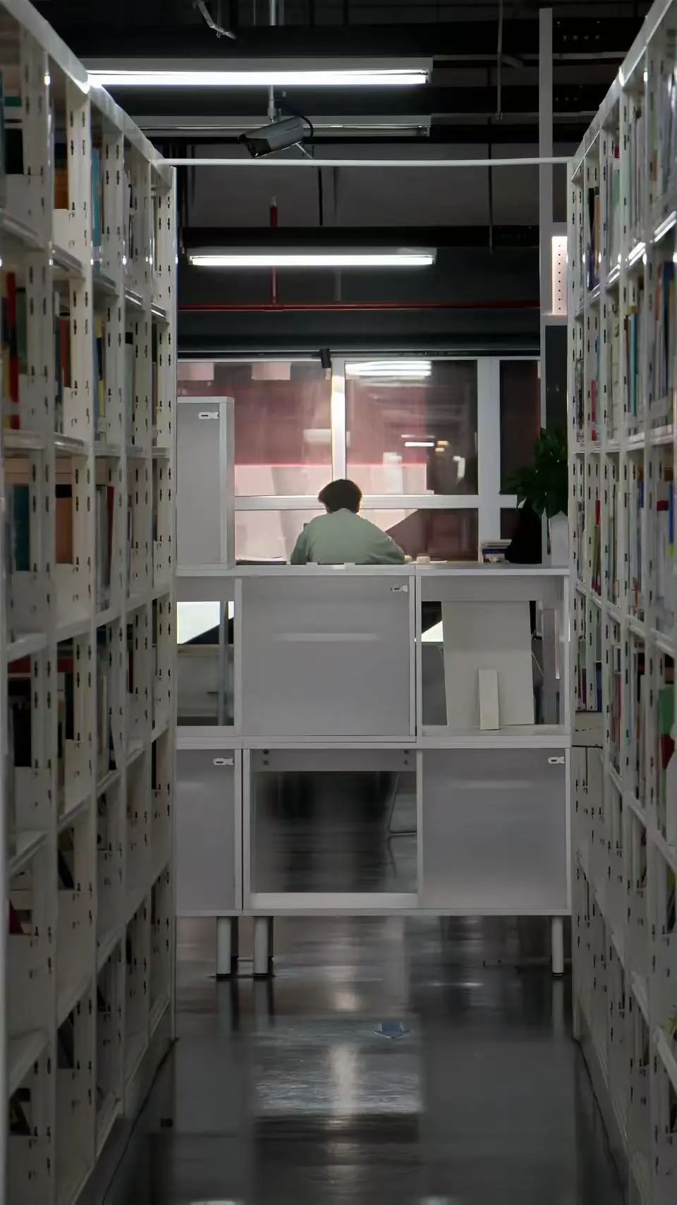 黄色小说网站大全