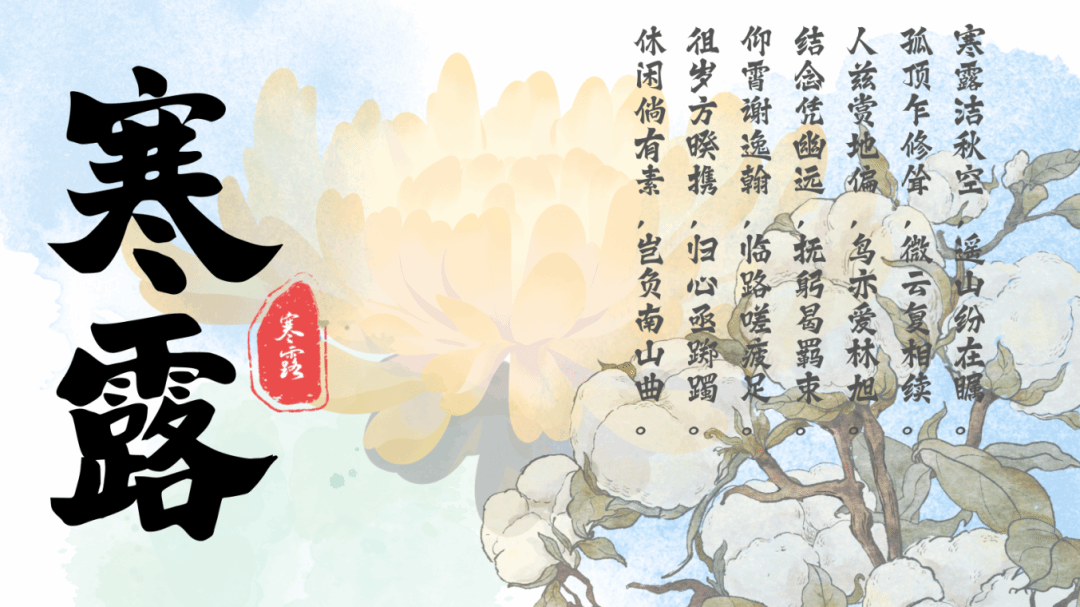 黄色小说网站大全