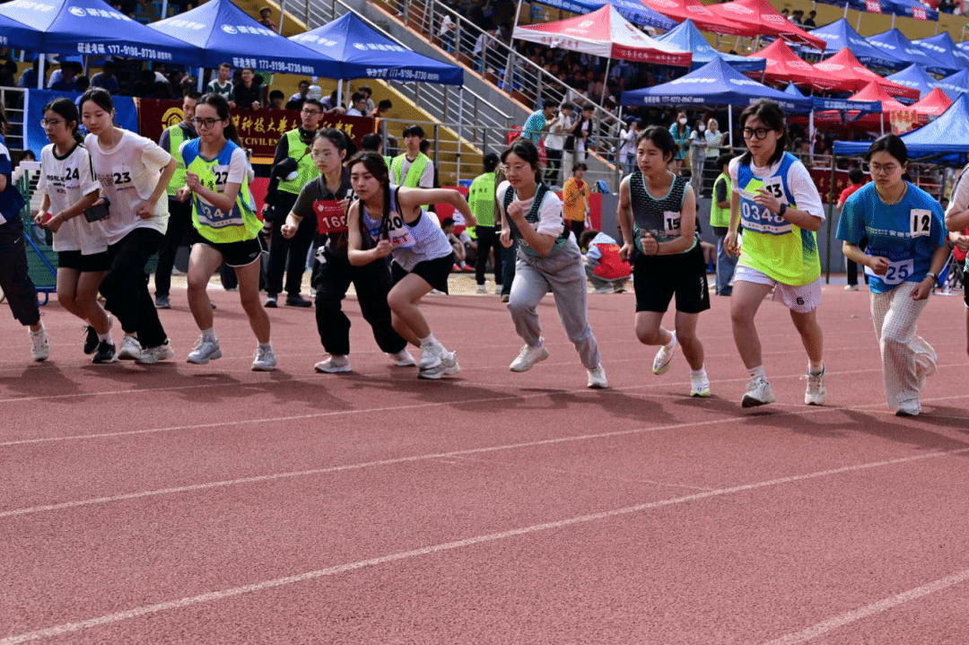 黄色小说网站大全