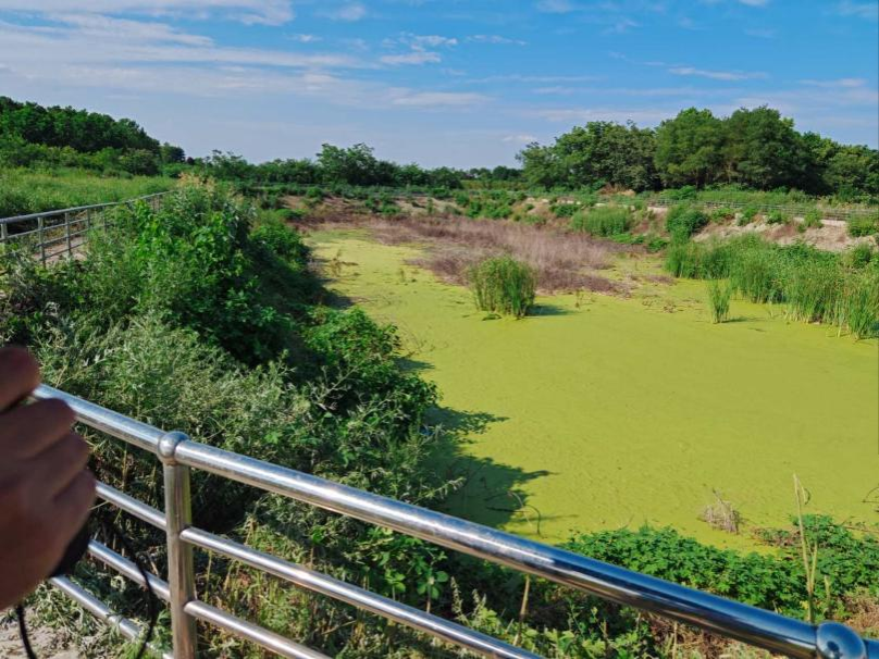 黄色小说网站大全