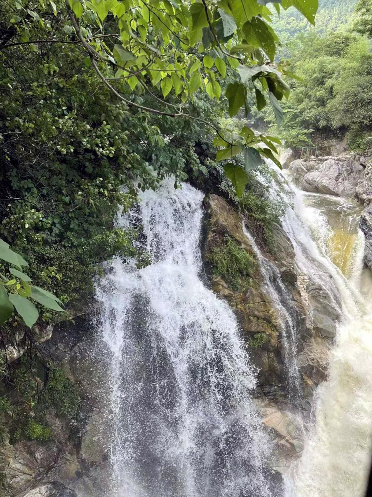 黄色小说网站大全