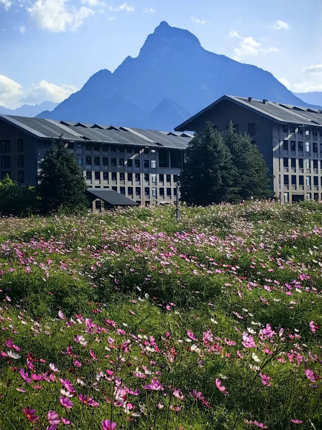 黄色小说网站大全