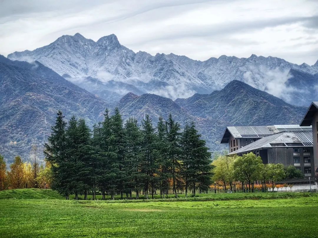 黄色小说网站大全