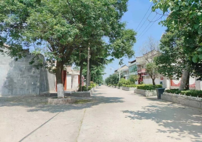 黄色小说网站大全