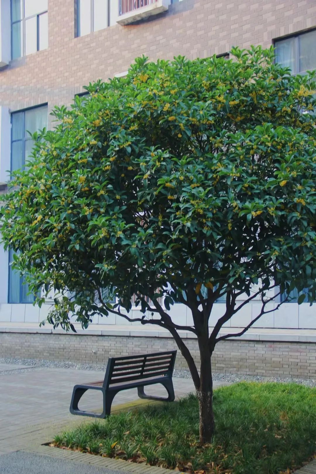 黄色小说网站大全