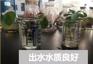 黄色小说网站大全