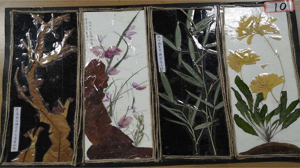 黄色小说网站大全