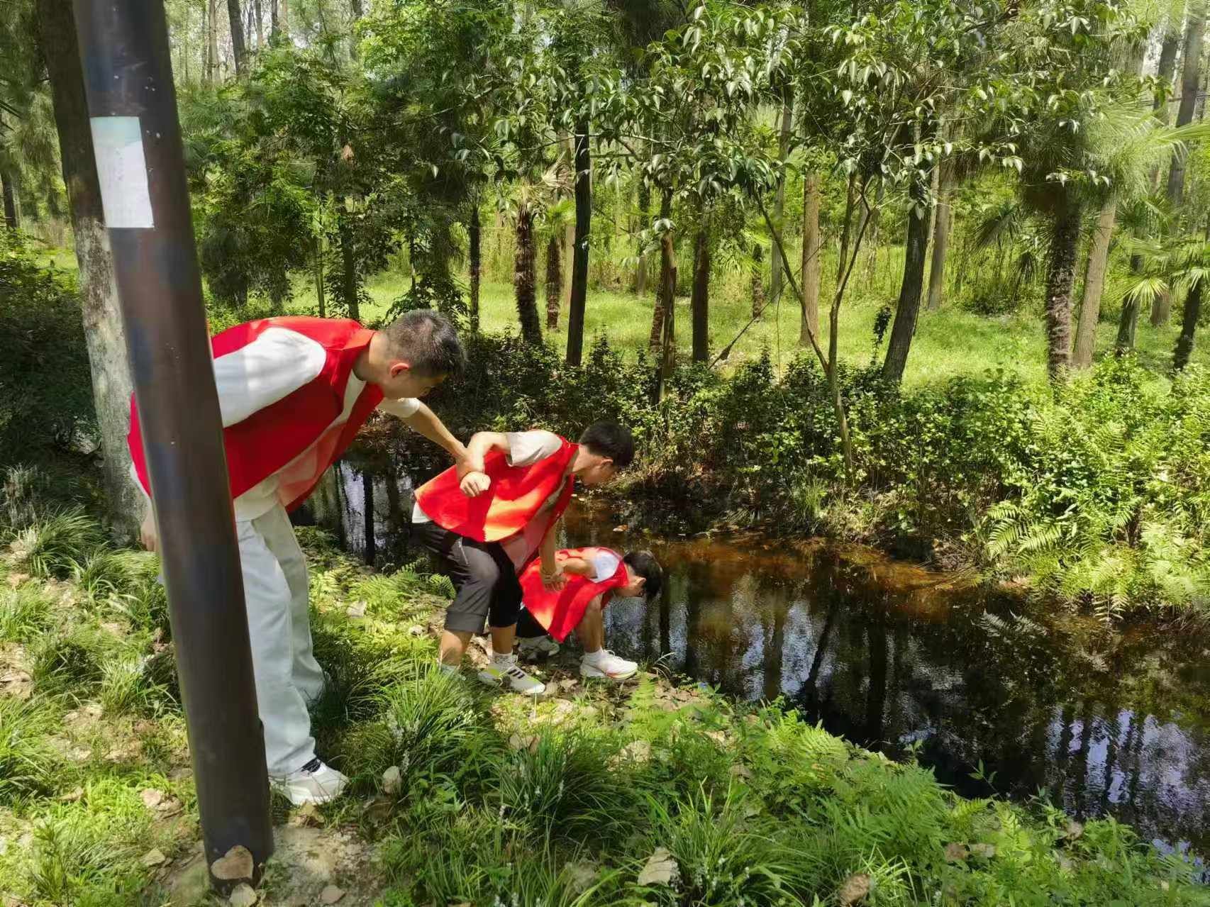 黄色小说网站大全