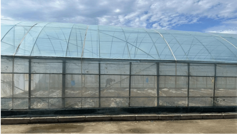 黄色小说网站大全