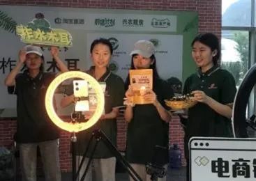 黄色小说网站大全