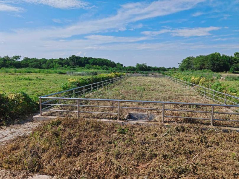 黄色小说网站大全