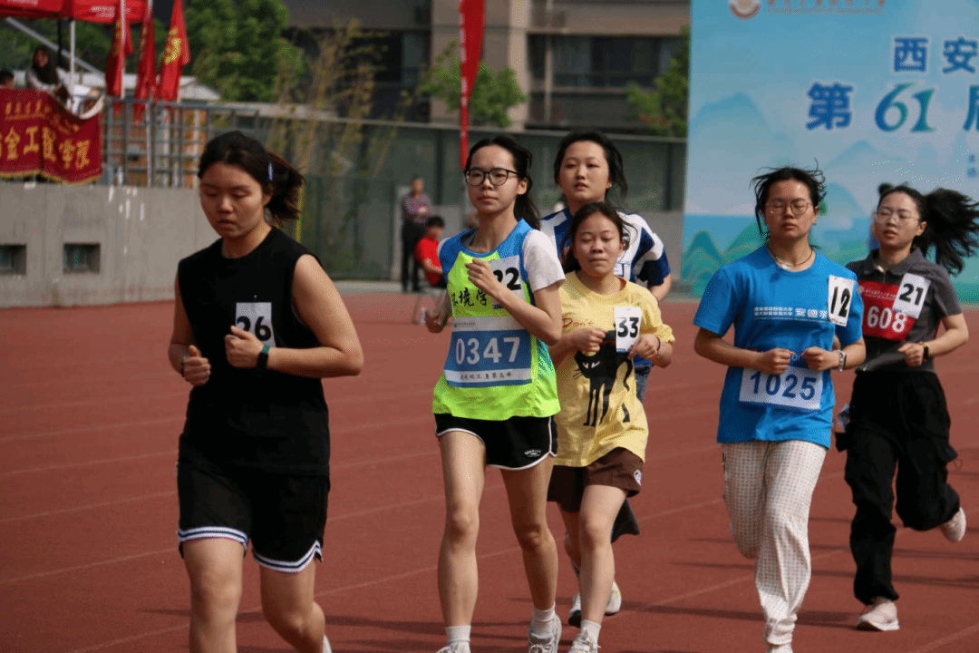 黄色小说网站大全