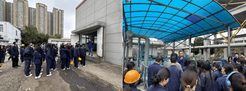 黄色小说网站大全