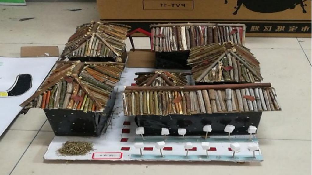 黄色小说网站大全