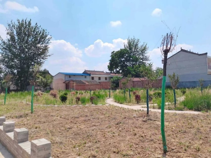 黄色小说网站大全