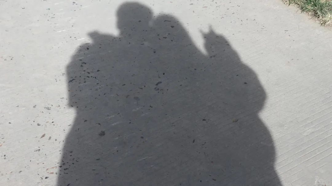 黄色小说网站大全