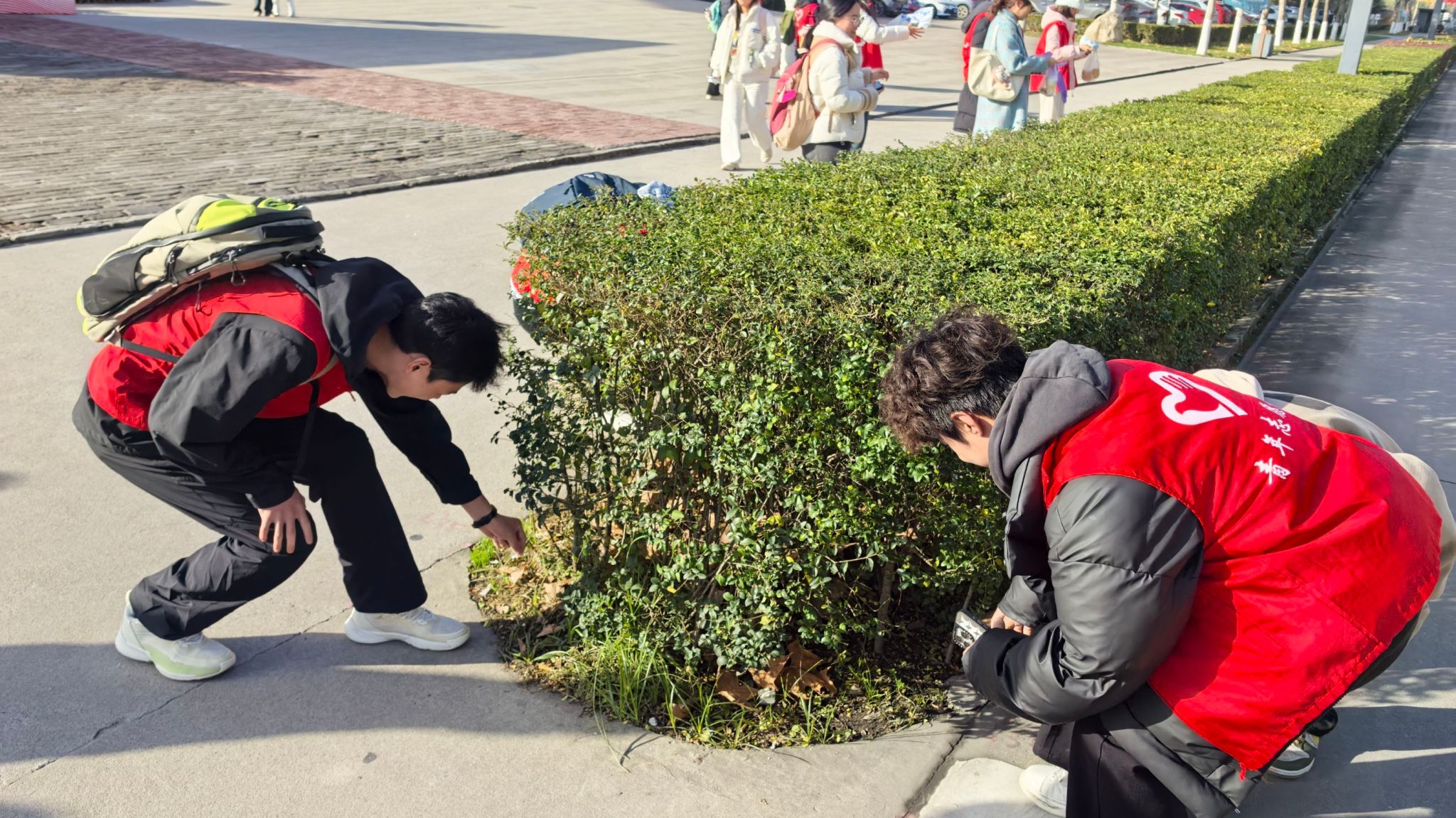 黄色小说网站大全