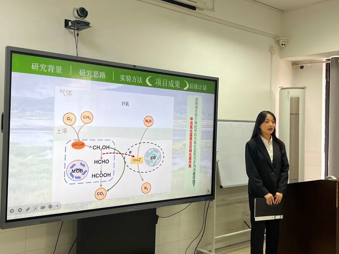 黄色小说网站大全
