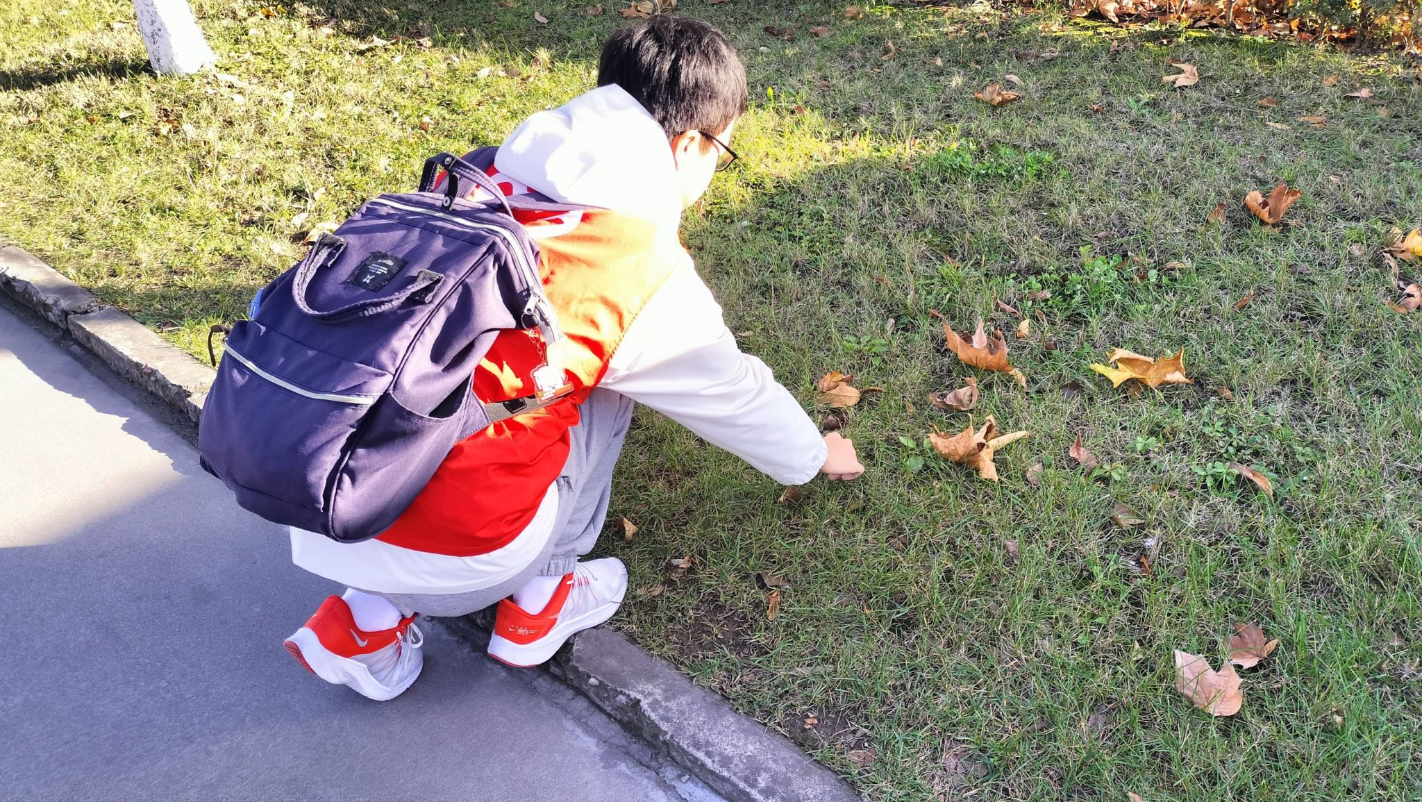 黄色小说网站大全