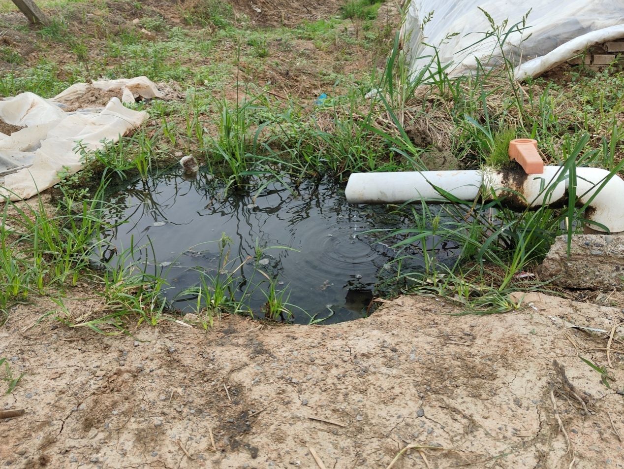 黄色小说网站大全