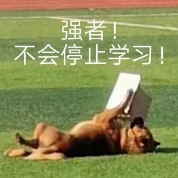 黄色小说网站大全