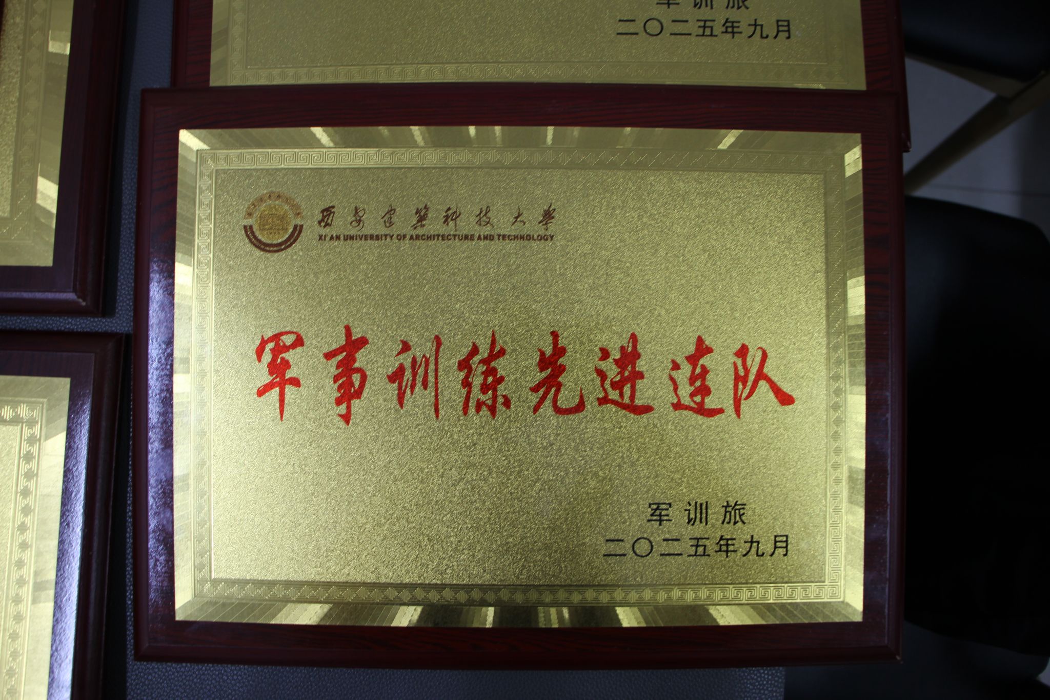 黄色小说网站大全