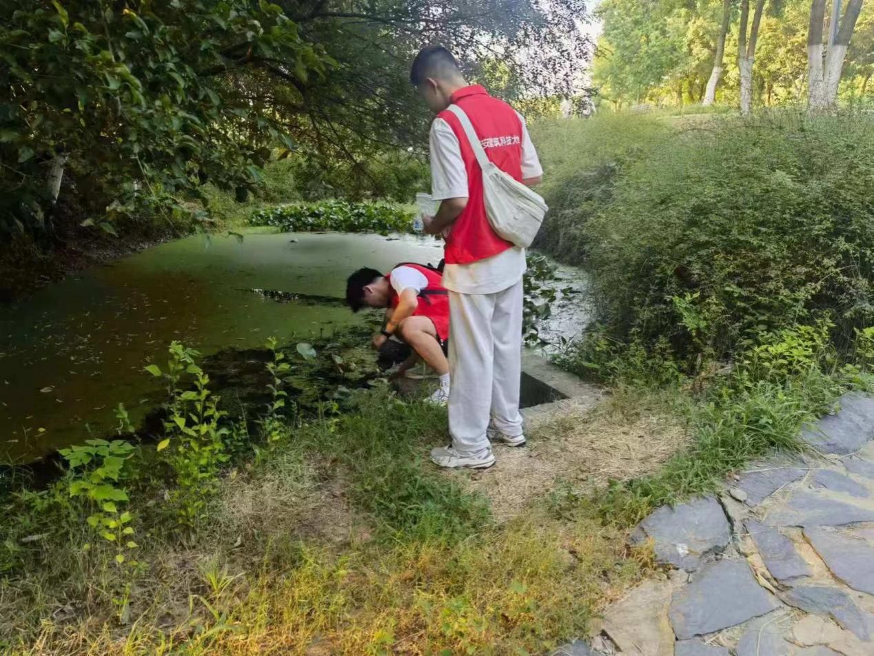 黄色小说网站大全