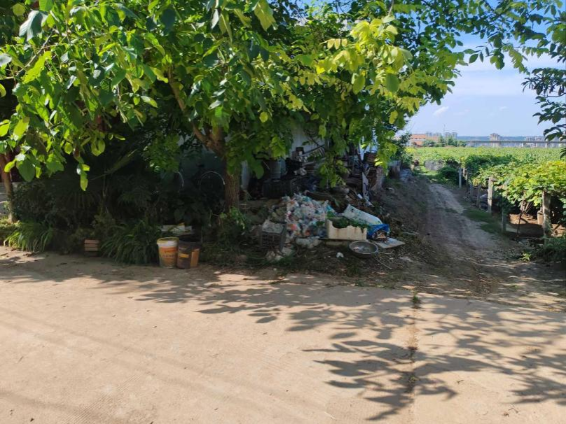 黄色小说网站大全