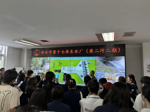 黄色小说网站大全