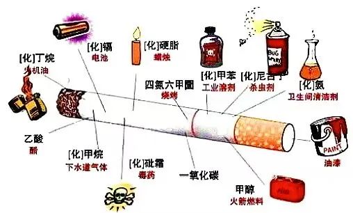 黄色小说网站大全
