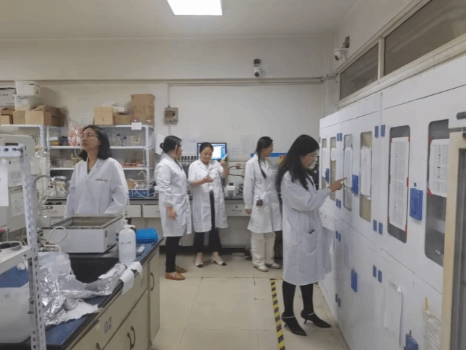 黄色小说网站大全