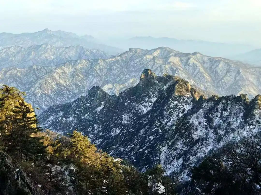 黄色小说网站大全