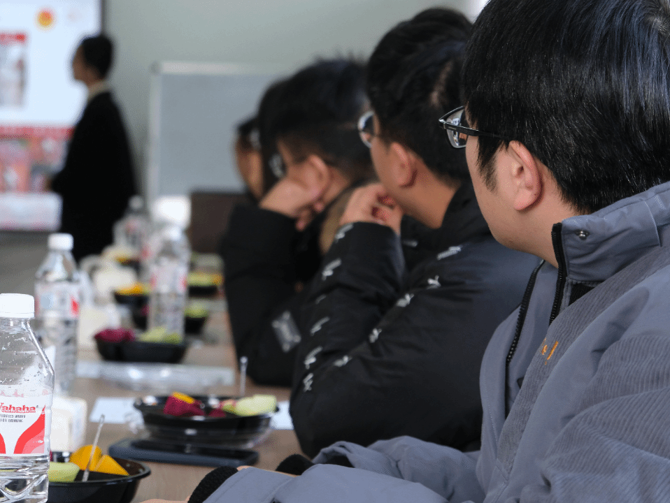 黄色小说网站大全