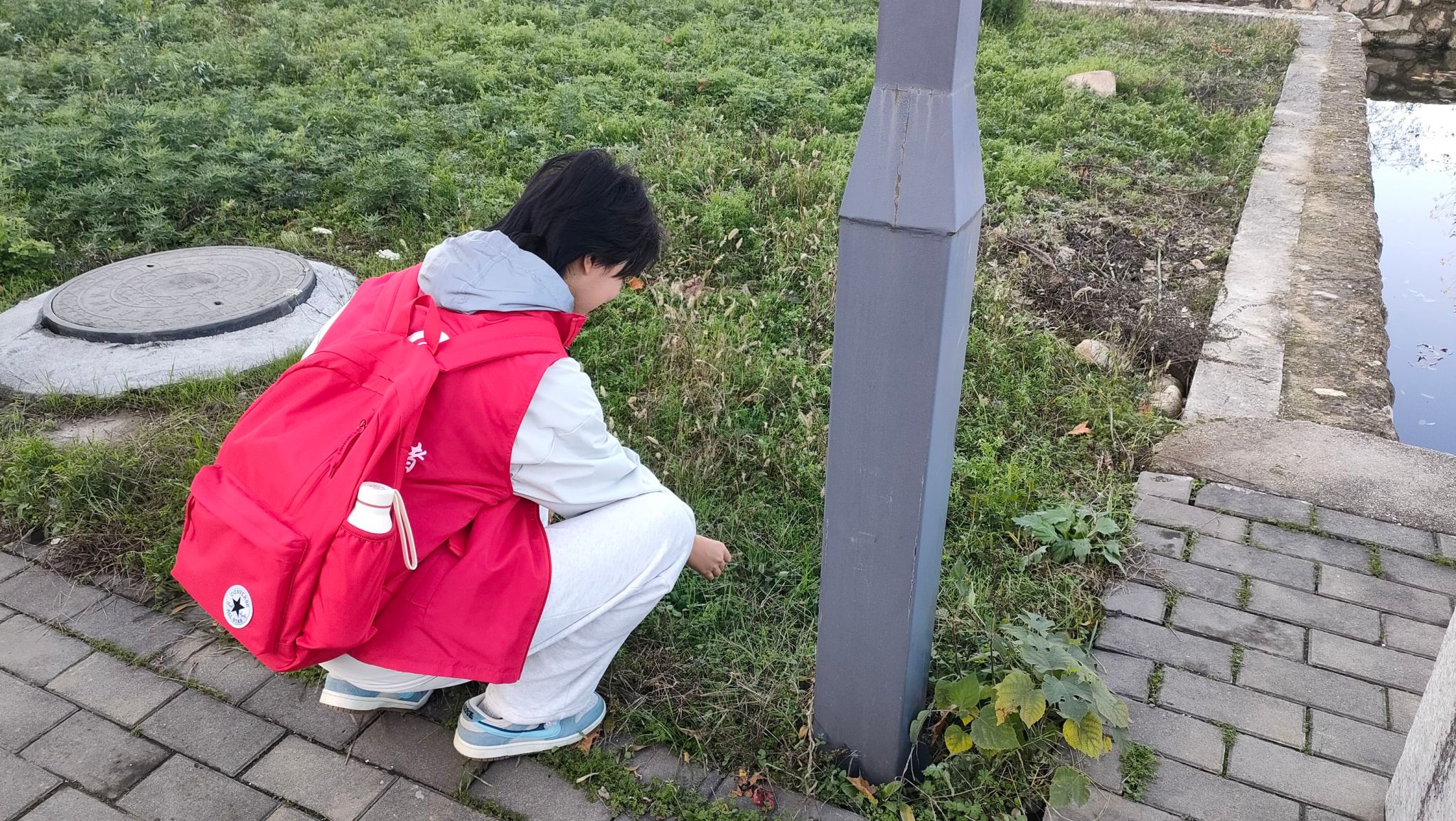 黄色小说网站大全