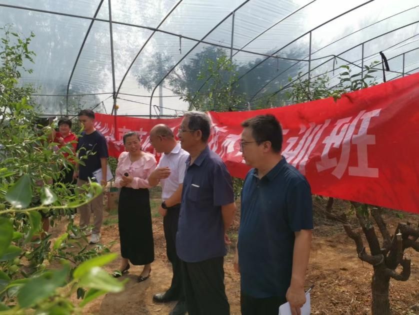 黄色小说网站大全