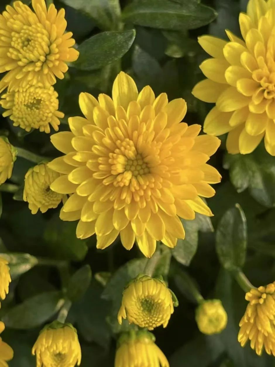 黄色小说网站大全