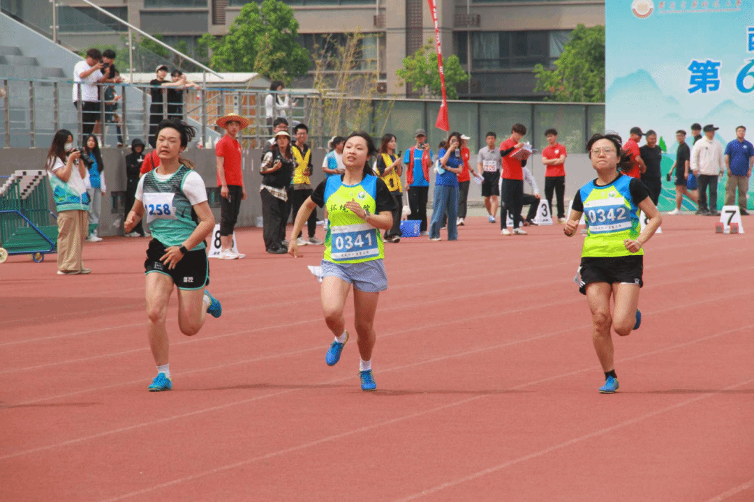 黄色小说网站大全