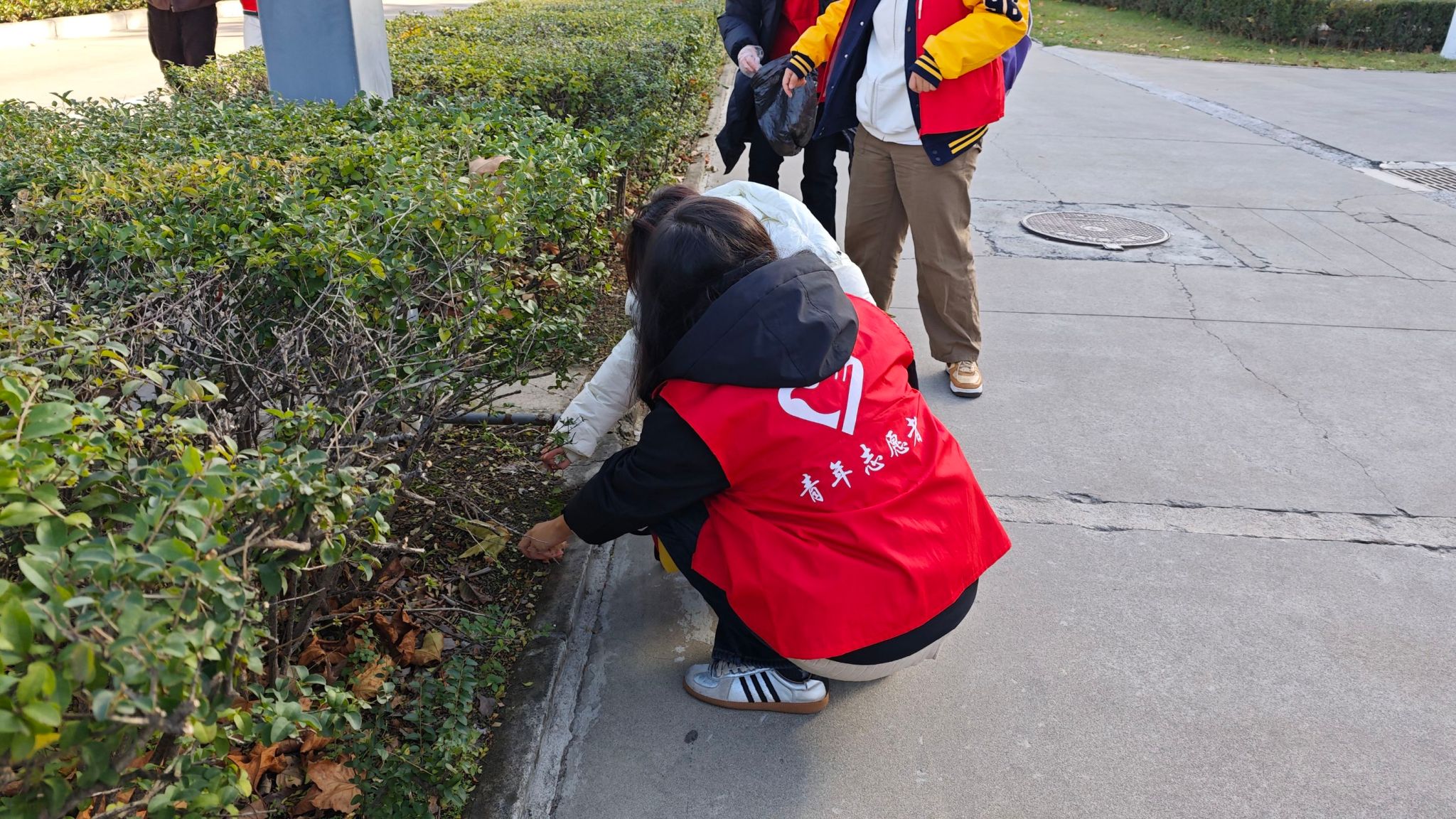 黄色小说网站大全