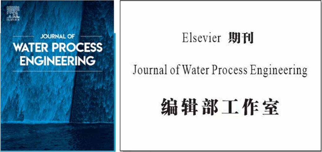 黄色小说网站大全