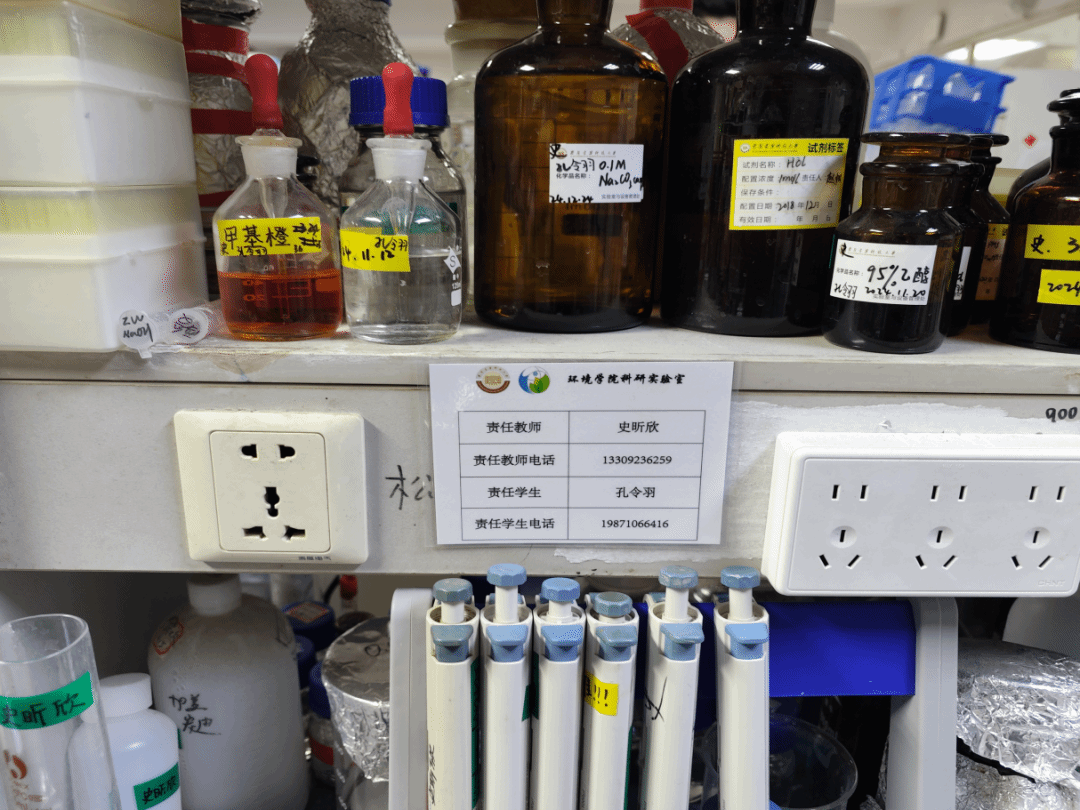 黄色小说网站大全