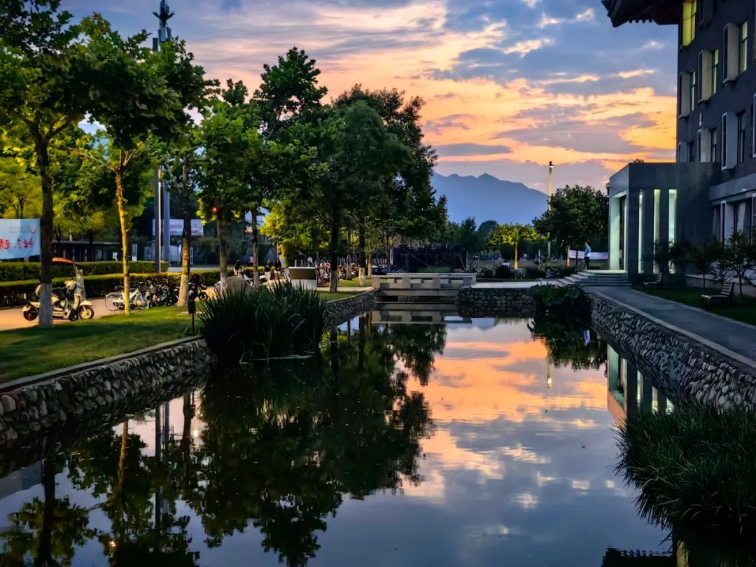 黄色小说网站大全